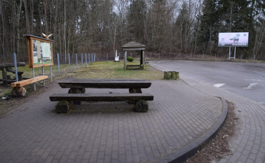 Bubiu aikstele.jpg